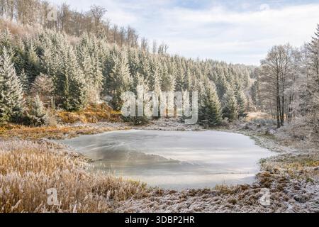 Un pont gelé dans une vallée entourée d'une forêt mixte avec épicéa de norvège (Picea abies) et hêtre européen (Fagus sylvatica) blanc de roarfrost, par une journée ensoleillée en hiver, Bavière, Allemagne, Europe Banque D'Images