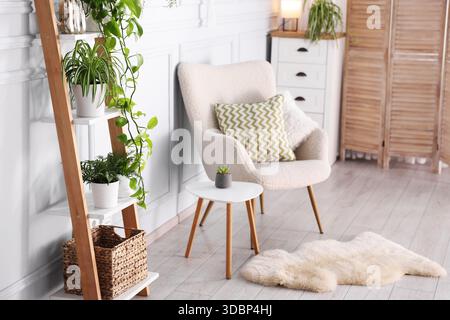 Belle chambre avec fauteuil, étagère et différentes plantes d'intérieur Banque D'Images