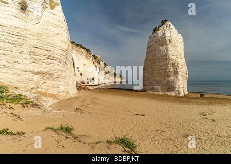 Pizzomunno rocher sur la plage Spiaggia di Castello à Vieste, Gargano, Pouilles, Italie, Europe Banque D'Images