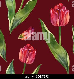 Papier peint botanique sophistiqué avec une répétition sans couture de tulipes rouges. Motif floral aquarelle peint à la main adapté au moderne Banque D'Images