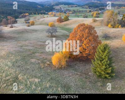 Vue aérienne d'arbres dorés et verts parsemant les collines herbeuses près de Povraznik, une scène tranquille dans la région de Banska Bystrica, Podpolanie, Banska Banque D'Images
