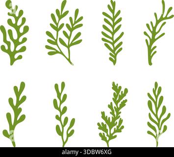 Ensemble de vecteurs de feuillage marin de plantes océaniques Illustration de Vecteur