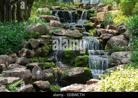 Un grand plan d'une belle cascade artificielle dans un jardin tropical. Avec des formations rocheuses étagées recouvertes de mousse verte, de fleurs violettes et de végétation luxuriante Banque D'Images