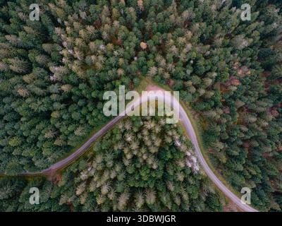Vue aérienne de haut en bas d'une route sinueuse traversant une forêt dense, mettant en valeur le contraste entre asphalte courbé et végétation luxuriante vue d'en haut. Banque D'Images