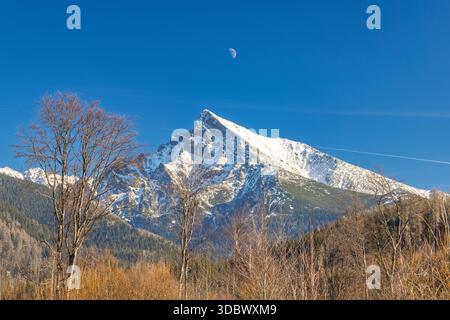 Montagne Krivan dans le parc national des Hautes Tatras, Slovaquie, Europe. Majestueux pic enneigé au loin sous un ciel bleu clair avec des arbres sans feuilles ajoutant Banque D'Images