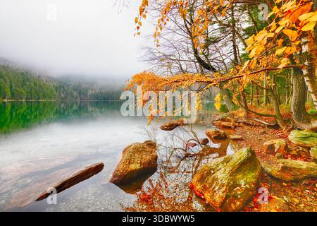 Feuilles d'automne colorées jaune, rouge, brunes et arbres le long du lac avec des pierres au premier plan et forrest verte en arrière-plan reflétant sur Wate clair Banque D'Images