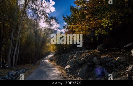 Vue de la route sinueuse coupe un paysage où le soleil brille à travers les arbres, projetant des ombres et mettant en évidence le terrain rocheux, Ghawari, Banque D'Images