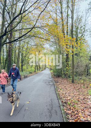 Green Drive Woodland, Lytham St Annes, Lancashire, Angleterre, Royaume-Uni Banque D'Images