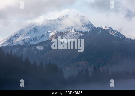 Sommet de montagne enneigé s'élevant au-dessus de la forêt brumeuse Banque D'Images