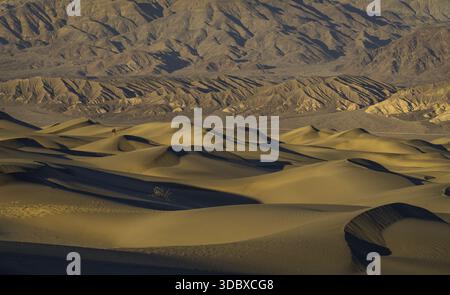 Vue sur les dunes dorées ondulent sous le soleil du désert, contrastant avec les montagnes escarpées au loin, créant un paysage aride, Vallée de la mort, Cal Banque D'Images
