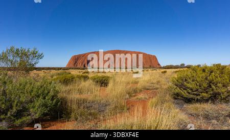 Vue sur un massif, ancien monolithe de roche rouge, encadré par des prairies dorées et des arbustes verts vibrants sous un ciel bleu clair et vaste, Uluru, Nord Banque D'Images