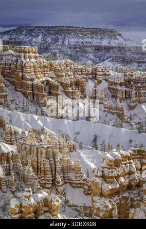 Vue de la montée spectaculaire des hoodoos, enveloppée de neige fraîche, sur fond de mesas lointaines sous un ciel serein, créant un pays des merveilles hivernales, Bryce Cany Banque D'Images