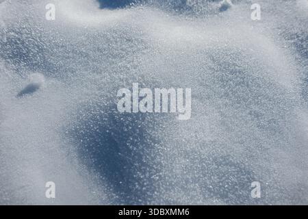 Surface blanche scintillante givrée ou neige. Texture fine avec des tons bleus subtils et flou, idéale pour Un arrière-plan hivernal propre et froid. Texture de neige, dessus Banque D'Images