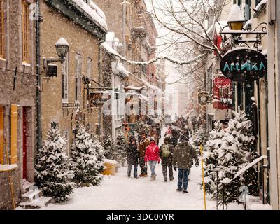 Le Vieux-Québec est carte postale en hiver avec des rues enneigées, des lumières festives et des marchés de Noël créent de la magie dans le Vieux-Québec historique, Canada. Banque D'Images