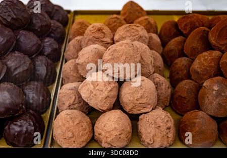 Bonbons au praliné au chocolat faits à la main, qualité hogh sans huile de palme, friandises élégantes et en bouchées avec des revêtements brillants, cacao riche, avec une garniture différente Banque D'Images