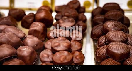 Bonbons au praliné au chocolat faits à la main, qualité hogh sans huile de palme, friandises élégantes et en bouchées avec des revêtements brillants, cacao riche, avec une garniture différente Banque D'Images