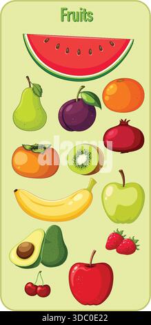 Illustration vectorielle lumineuse de divers fruits disposés verticalement, avec des contours propres, des couleurs vibrantes et un style de dessin animé plat sur un bac vert pâle Illustration de Vecteur