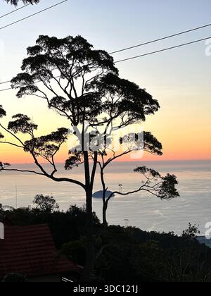 Un arbre solitaire se dresse devant un lever de soleil vibrant sur un paysage côtier, avec des toits, l'océan et une île lointaine en vue. Banque D'Images