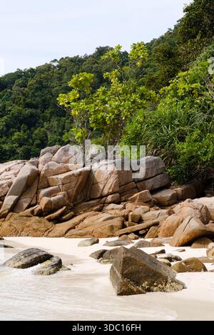Des vagues douces se tapissent doucement contre un rivage rocheux, tandis que des arbres verdoyants s'élèvent du flanc de la colline sous un ciel clair, mettant en valeur une scène de plage paisible Banque D'Images