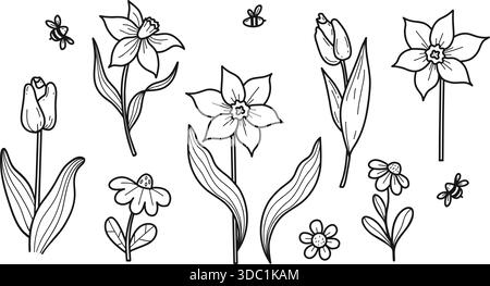 Jeu de tulipes, jonquilles et camomille dessinés à la main à la main avec fleurs de printemps. Ligne de plantes de jardin botanique isolé Art. Illustration vectorielle. Pas IA Illustration de Vecteur