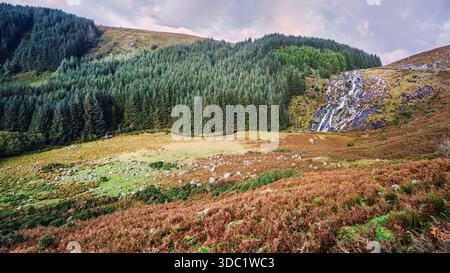Cascade de Glenmacnass dans les montagnes de Wicklow, paysage de vallée d'automne avec des falaises moussues et texturé saumâtre, pas de gens. Banque D'Images