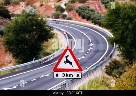 Panneau d'avertissement Deer Crossing sur une route espagnole sinueuse Banque D'Images