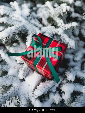 Gros plan du cadeau de Noël magnifiquement enveloppé sur les branches enneigées. Banque D'Images