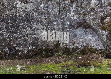 Un mur rocheux altéré recouvert de lichen avec une base moussue et de l'herbe clairsemée au fond. Textures naturelles, scène extérieure, et ambiance rustique adapté fo Banque D'Images