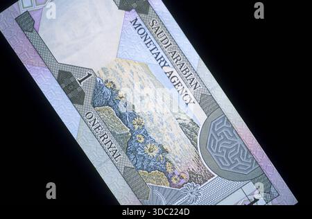 États du Golfe, Arabie saoudite, monnaie, un billet de riyal. Banque D'Images