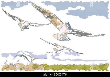 Dessin-style impressionniste peinture, mouettes volantes action dans le ciel, image vectorielle d'illustration numérique Illustration de Vecteur