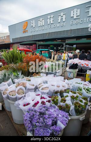 Célèbre marché international de fleurs à Kunming, en Chine Banque D'Images