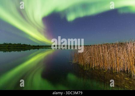 Yellowknife, Canada - 23 septembre 2025 : lumières du nord avec un lac en arrière-plan Banque D'Images