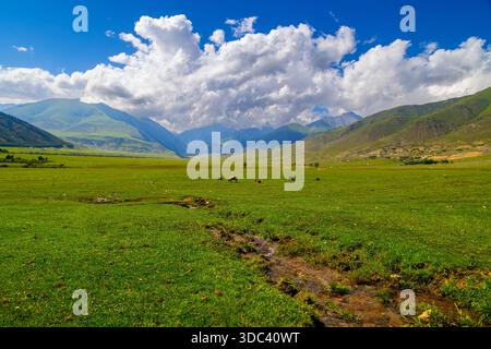 Plusieurs vaches paissent paisiblement et se reposent dans un pittoresque pré vert. Le cadre rural tranquille comprend des montagnes et un ruisseau coulant sous le ciel de jour. Banque D'Images