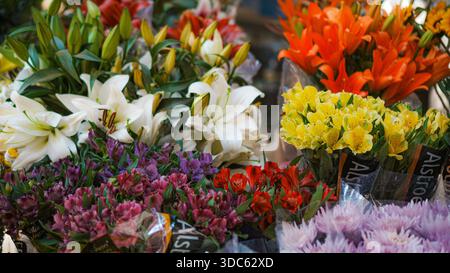 Beau bouquet de fleurs avec diverses fleurs dans une journée Banque D'Images