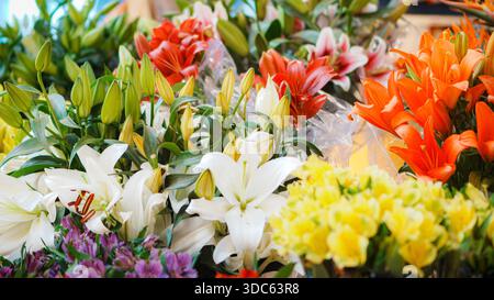 Beau bouquet de fleurs avec diverses fleurs dans une journée Banque D'Images