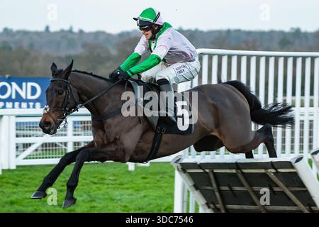 Ascot, Royaume-Uni, samedi 20 décembre 2025 ; Wilful et jockey Jonjo O'Neill Jr. remportent l'Ascot Rotary Club festive handicap Hurdle (premier handicap) pour l'entraîneur Jonjo & A. J. O'Neill et la propriétaire Mrs Fitri Hay. Crédit JTW Equine images / Alamy Live News. Banque D'Images