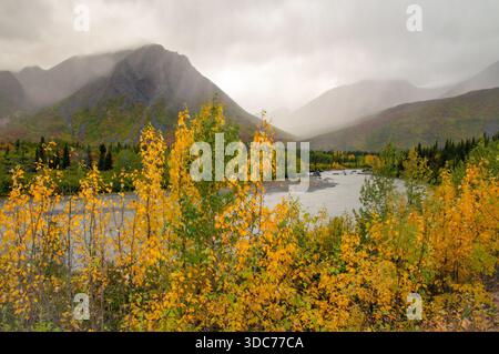 Vues colorées d'automne le long de la rivière en alaska Banque D'Images