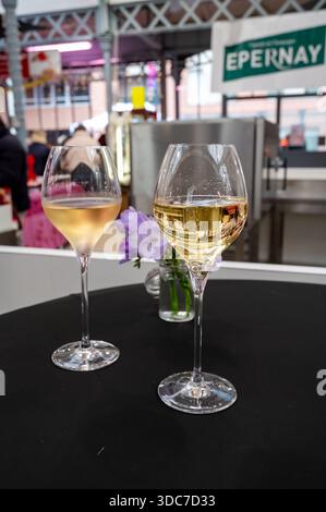 Dégustation spéciale pour les visiteurs, association de nourriture avec un verre de vin de champagne, plats délicieux préparés par des chefs cuisiniers renommés à la nourriture d'hiver et Banque D'Images