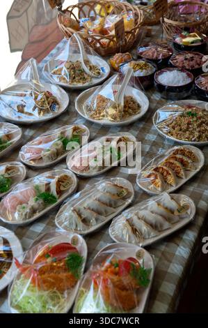 Répliques d'échantillons de nourriture en plastique japonais d'aspect réaliste de différentes formes et tailles, une spécialité de Gujo-Hachiman (郡上八幡) dans la préfecture de Gifu, au Japon. Banque D'Images