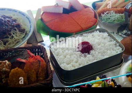 Répliques d'échantillons de nourriture en plastique japonais d'aspect réaliste de différentes formes et tailles, une spécialité de Gujo-Hachiman (郡上八幡) dans la préfecture de Gifu, au Japon. Banque D'Images