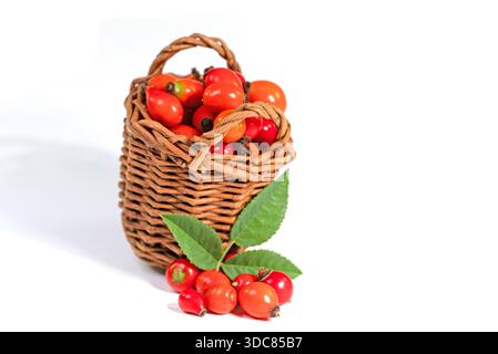 Hanches roses dans un panier sur un fond blanc Banque D'Images