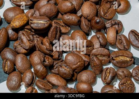 De nombreux grains de café brun foncé fraîchement torréfiés sont dispersés sur une surface blanche texturée, capturés en gros plan, vue de dessus. Banque D'Images