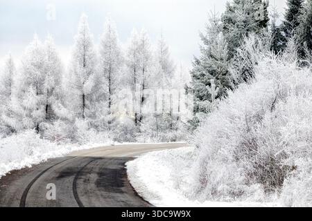 Route asphaltée courbe menant à travers la forêt d'hiver couverte de givre et de neige. Paysages froids, arbres glacés et atmosphère hivernale paisible. Banque D'Images