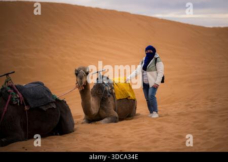 Une femme dans une écharpe bleue se tient à côté de chameaux reposant sur les dunes dorées du désert, la lumière du soir calme soulignant le rythme tranquille du voyage et de la vie dans le Banque D'Images