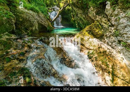 Une cascade vibrante coule gracieusement à travers des rochers moussseux, évoquant la sérénité et l'aventure dans la nature sauvage préservée de Slovénie Banque D'Images