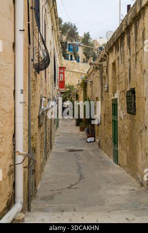Une rue étroite à Malte, bordée de vieux bâtiments en pierre, mène vers le haut. L'architecture et la végétation donnent un aperçu du charme unique de l'île Banque D'Images