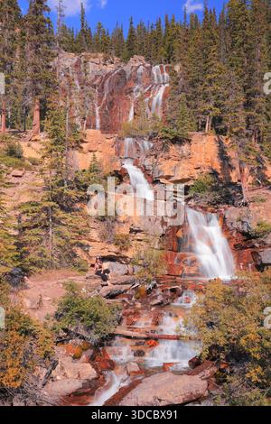 Tangle Creek Falls peut être manqué si vous conduisez par elle pour jeûner sur votre chemin vers les champs de glace colombiens dans le parc national de Jasper. Banque D'Images