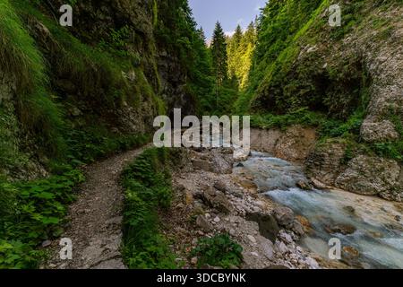 Un sentier de randonnée tranquille serpente le long d'un ruisseau de montagne précipité, évoquant la paix et l'aventure dans la nature sauvage luxuriante slovène Banque D'Images