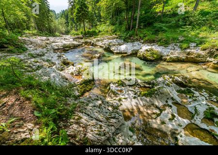 Un ruisseau de montagne tranquille serpente gracieusement à travers des rochers moussseux et une verdure vibrante évoquant la paix et la beauté naturelle dans la nature sauvage préservée de Slovénie Banque D'Images