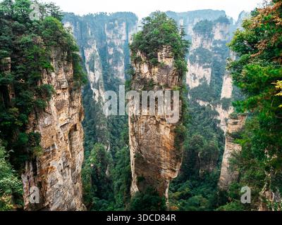 Superbe vue aérienne sur les montagnes Avatar Hallelujah dans le parc forestier national de Zhangjiajie, en Chine, mettant en valeur d'imposants piliers de grès et une végétation luxuriante Banque D'Images